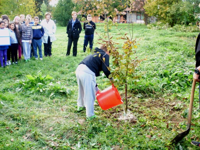 eTwinning tree campaign 2015